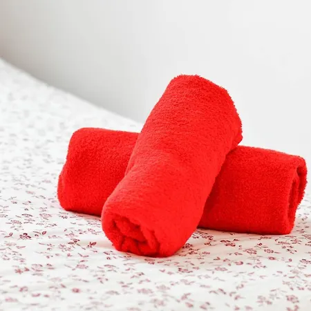 Les Cerisiers - Cosy Au Centre De Appartement *