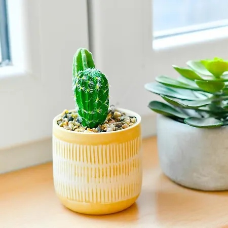 Les Cerisiers - Cosy Au Centre De Appartement