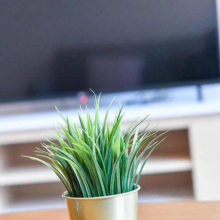 Appartement Les Cerisiers - Cosy Au Centre De Namur