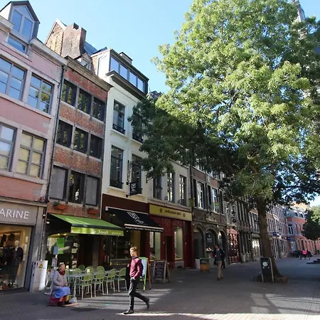 Les Cerisiers - Cosy Au Centre De