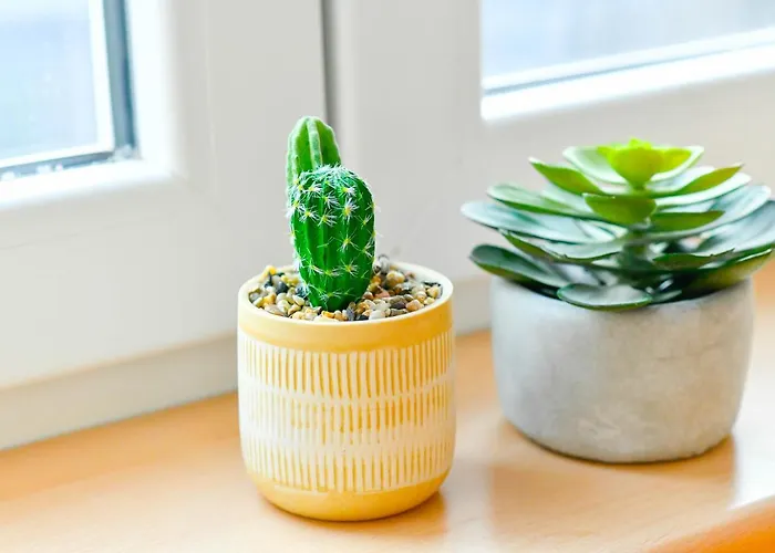 Les Cerisiers - Cosy Au Centre De Appartamento